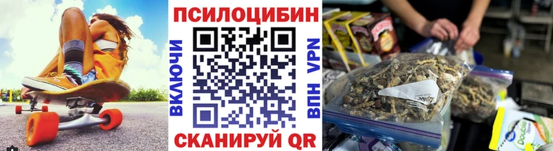 Галлюциногенные грибы Psilocybe  где продают   Волхов 