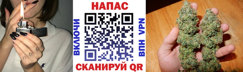 Бошки марихуана планчик  Волхов 